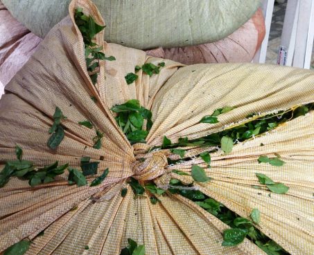 Mayıs Çayı (Siyah Çay) 10 kg Ekonomik 😍